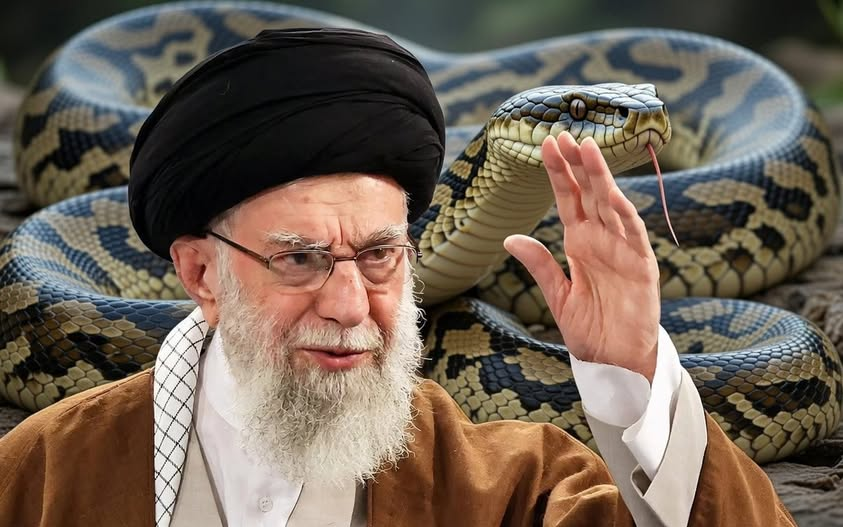 Imtiaz Mahmood tweet media