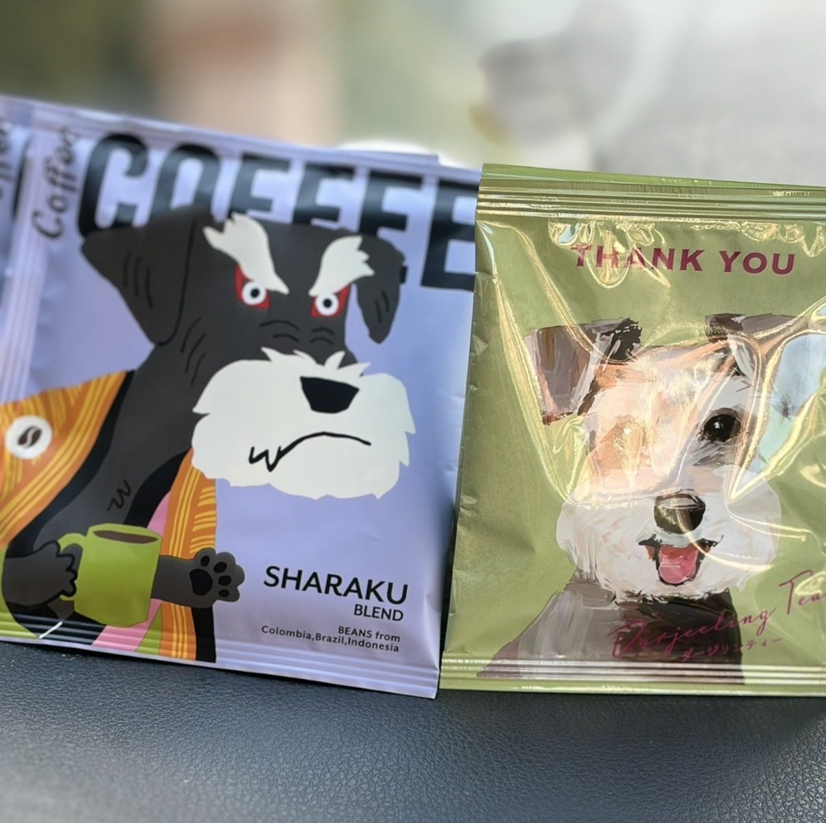 今日よかったこと 🧸 月イチの勉強会を頑張った✏️ 🧸 飼っていた