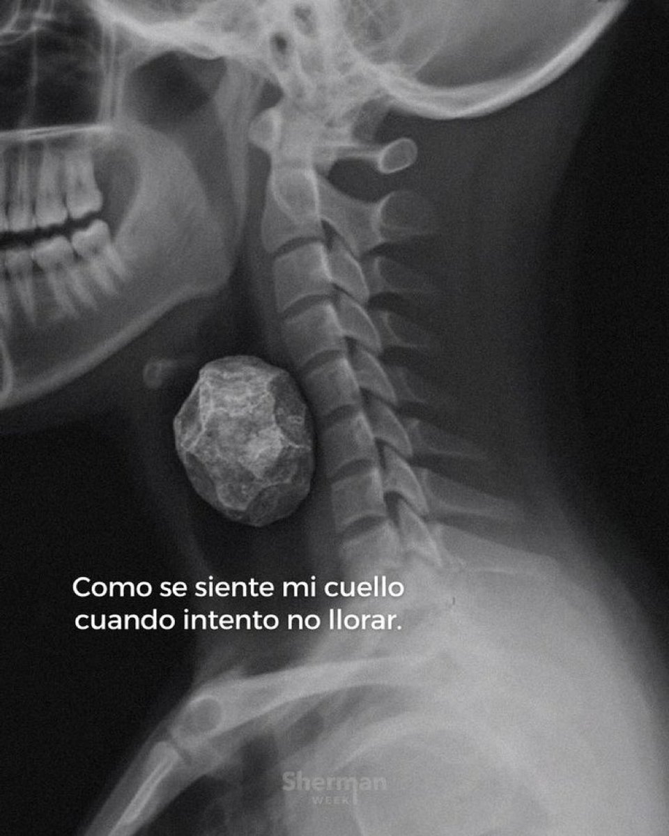 🌙 mini textos (@soyminitextos) on Twitter photo 