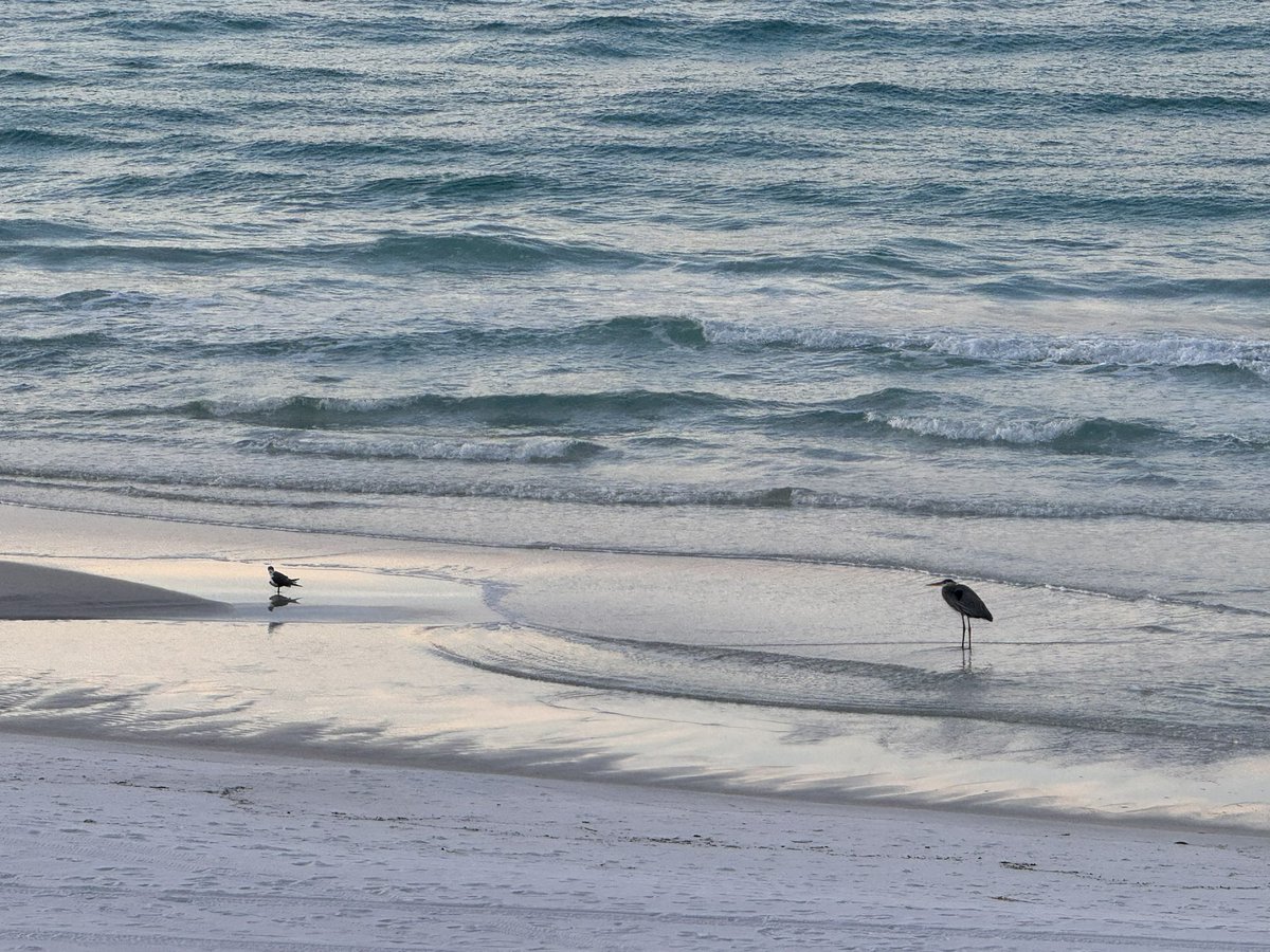 brooksy767's tweet photo. @spann sunrise in Santa Rosa beach, FL https://t.co/EFpFZBacmC