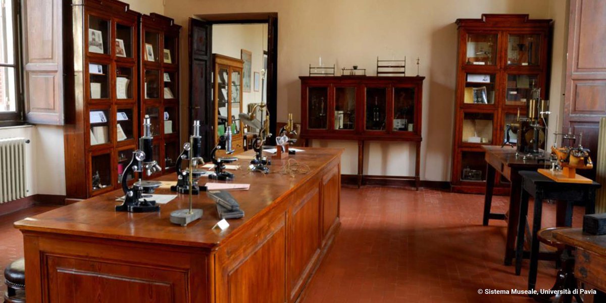 Università di Pavia tweet media