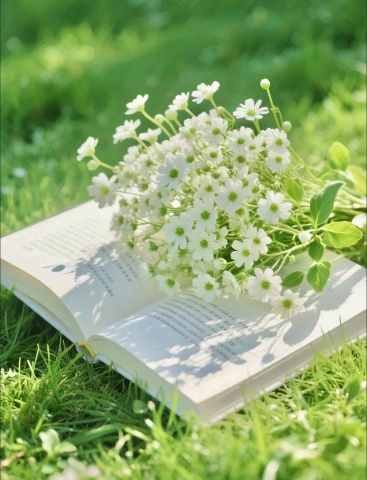 Flowers Life (@flowerslife54) on Twitter photo 