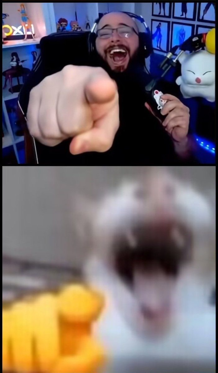 weirdoo🏅 tweet media