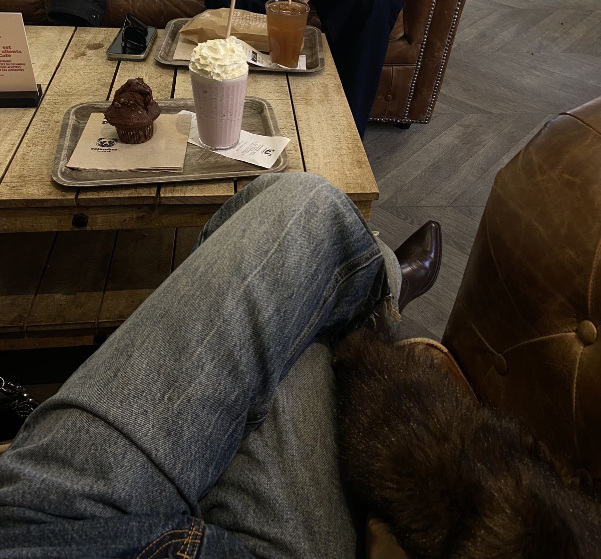p˚୨୧⋆。🐈˚ ⋆ tweet media
