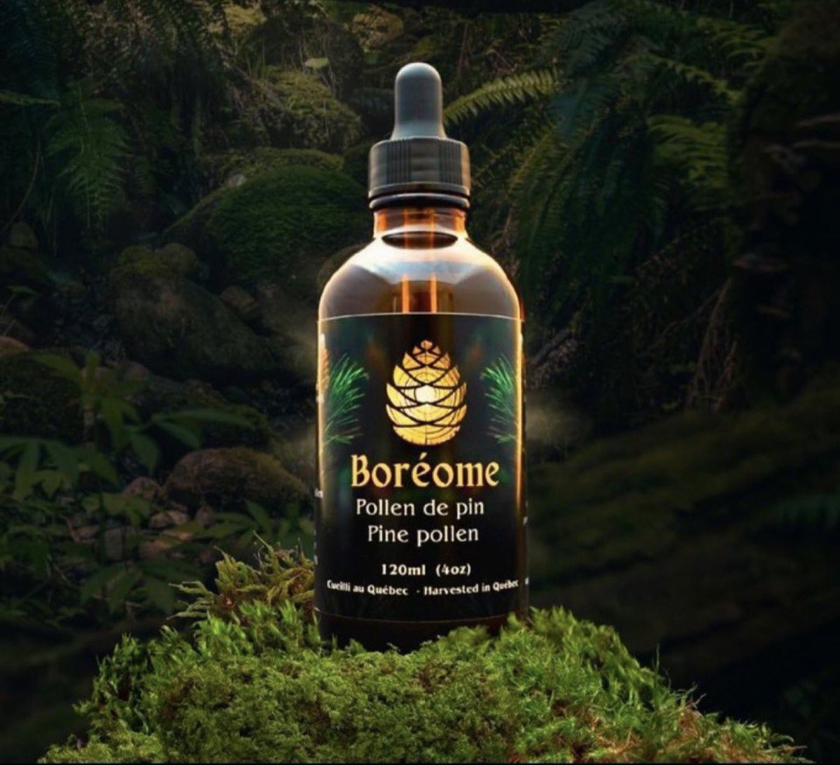 MasculineM7's tweet photo. 5.) Pine pollen

It contains all four major androgen

 (male sex) hormones 
Androstenedione, testosterone, (DHEA), and androsterone

Androgen hormones are present in it ,once absorbed, it raises testosterone levels almost immediately

Get now👇

https://t.co/aDYRkgpv3F https://t.co/JCyX7yLys5
