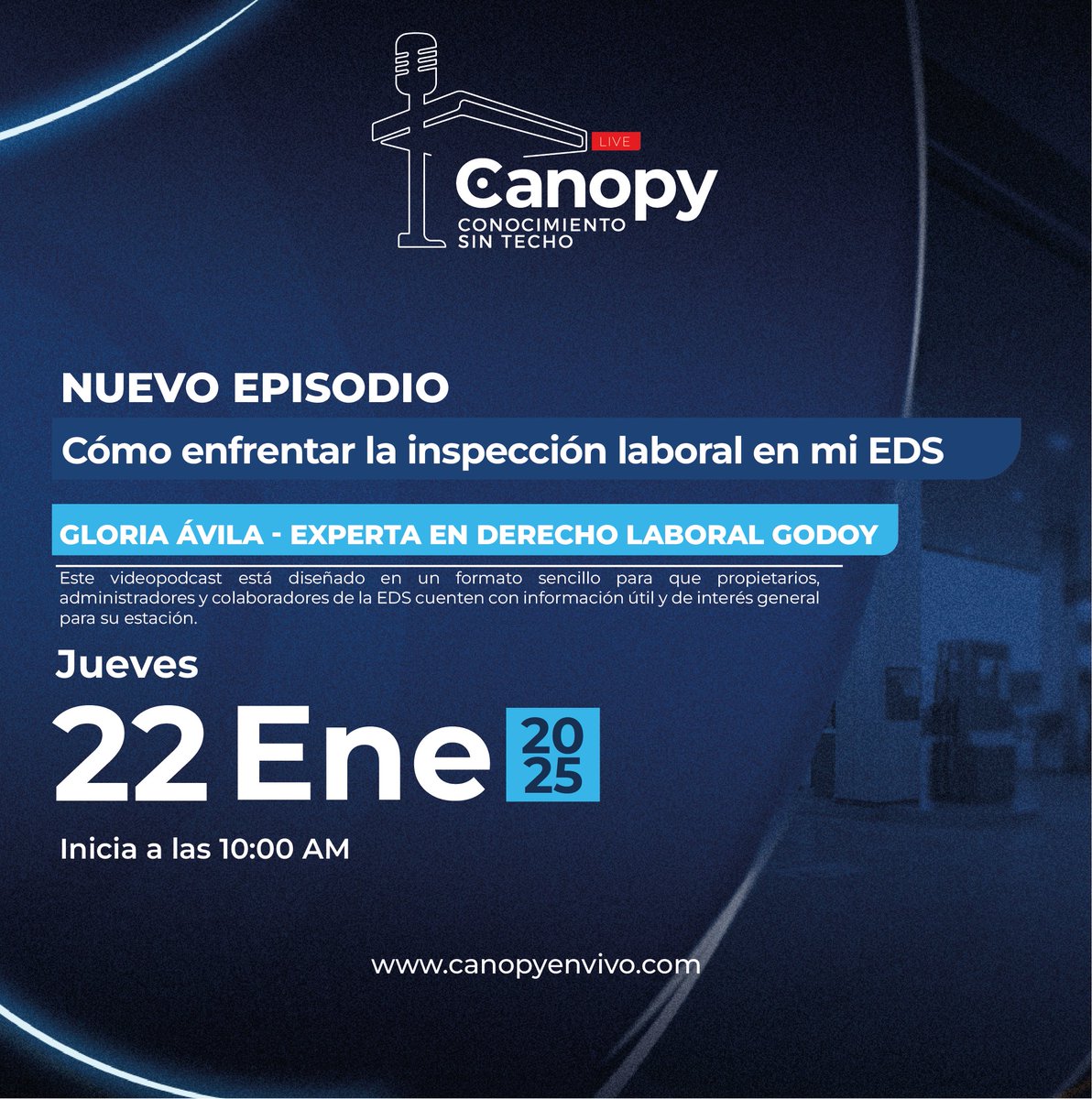 Fondo Soldicom tweet media