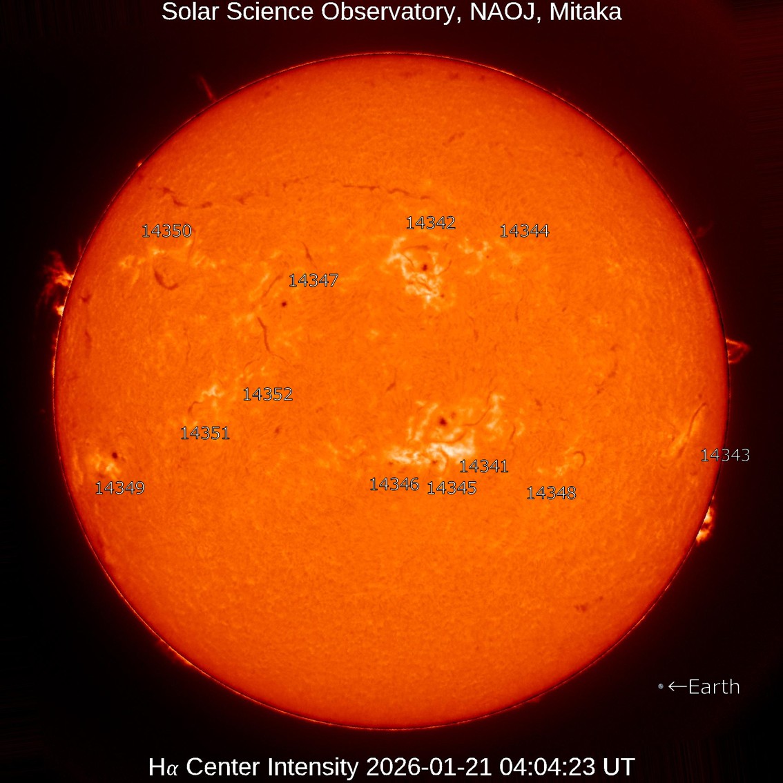 太陽と雲 本日の太陽】2026-1-21のHα線全面像 活動領域14341,14342,14345は