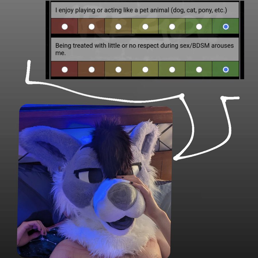 🐾 chewtoy 🐾 tweet media