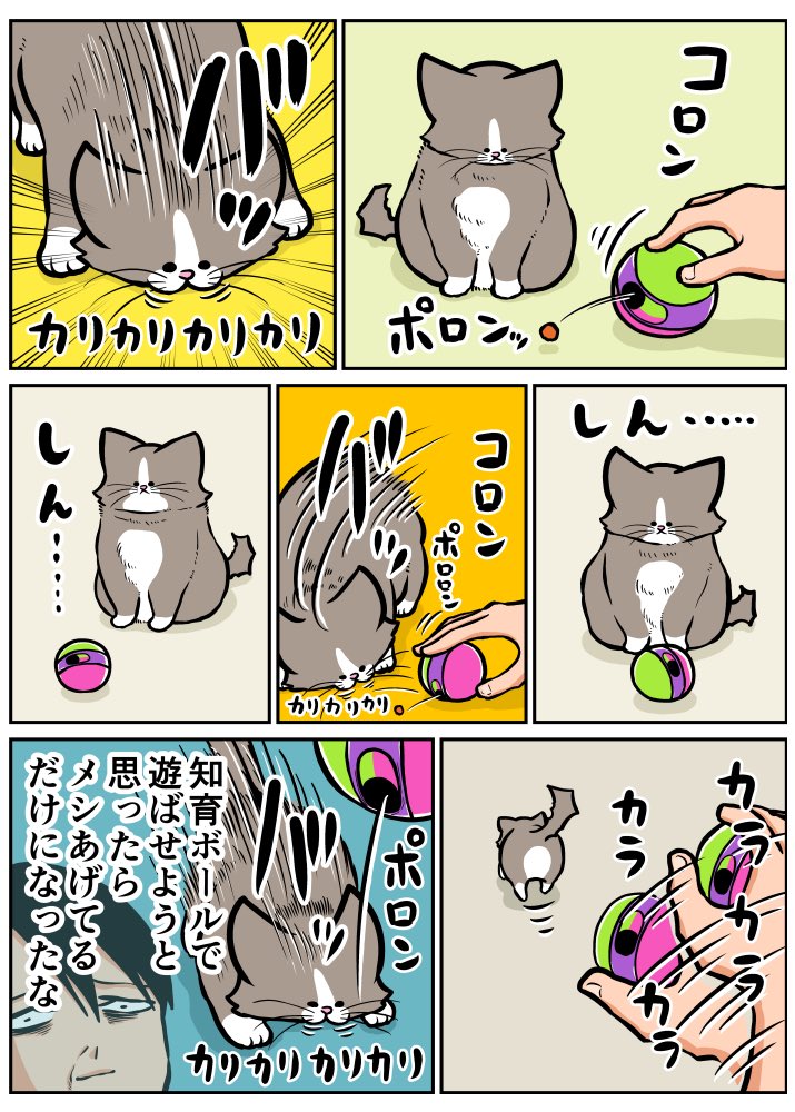 鴻池 剛 (@TsuyoshiWood) / Posts / X