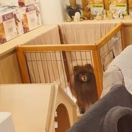 HourlyKuma's tweet image. nawt her stealing his job