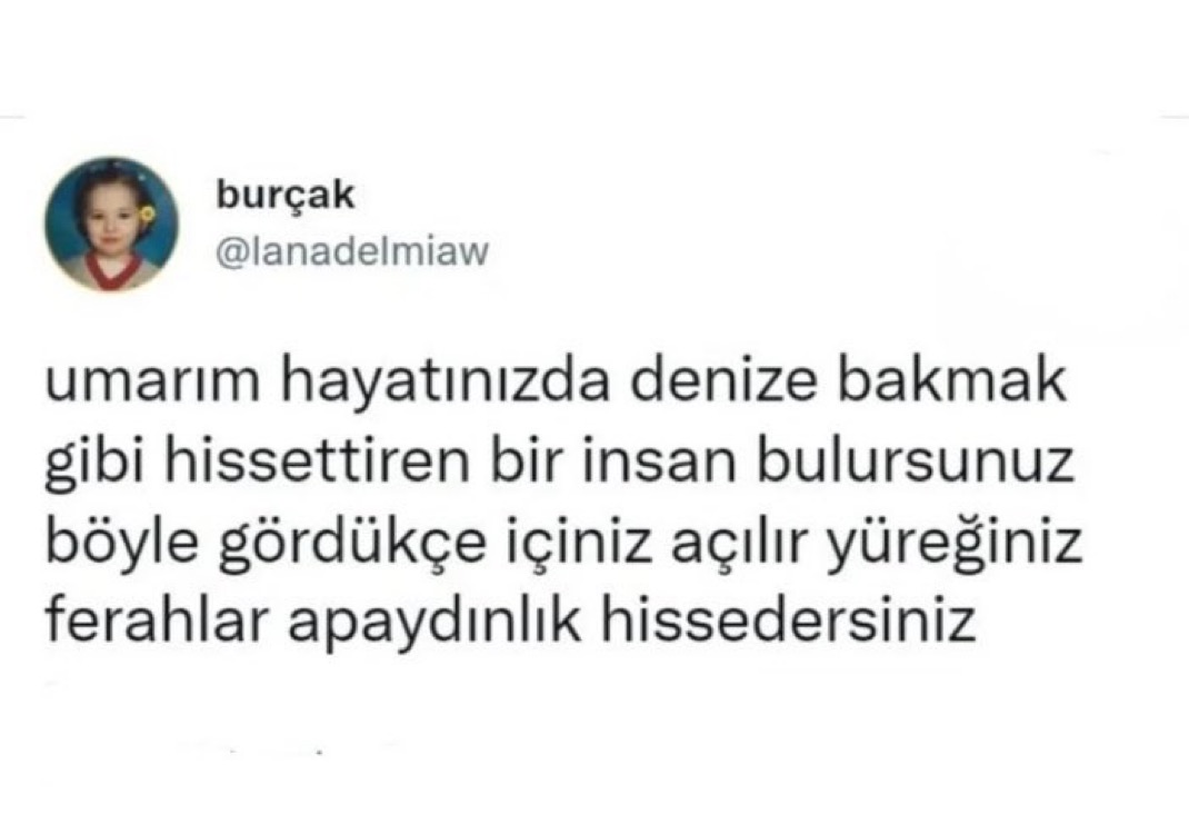 Alnı Öpülesi Tivitler (@alniopulesitivt) on Twitter photo 