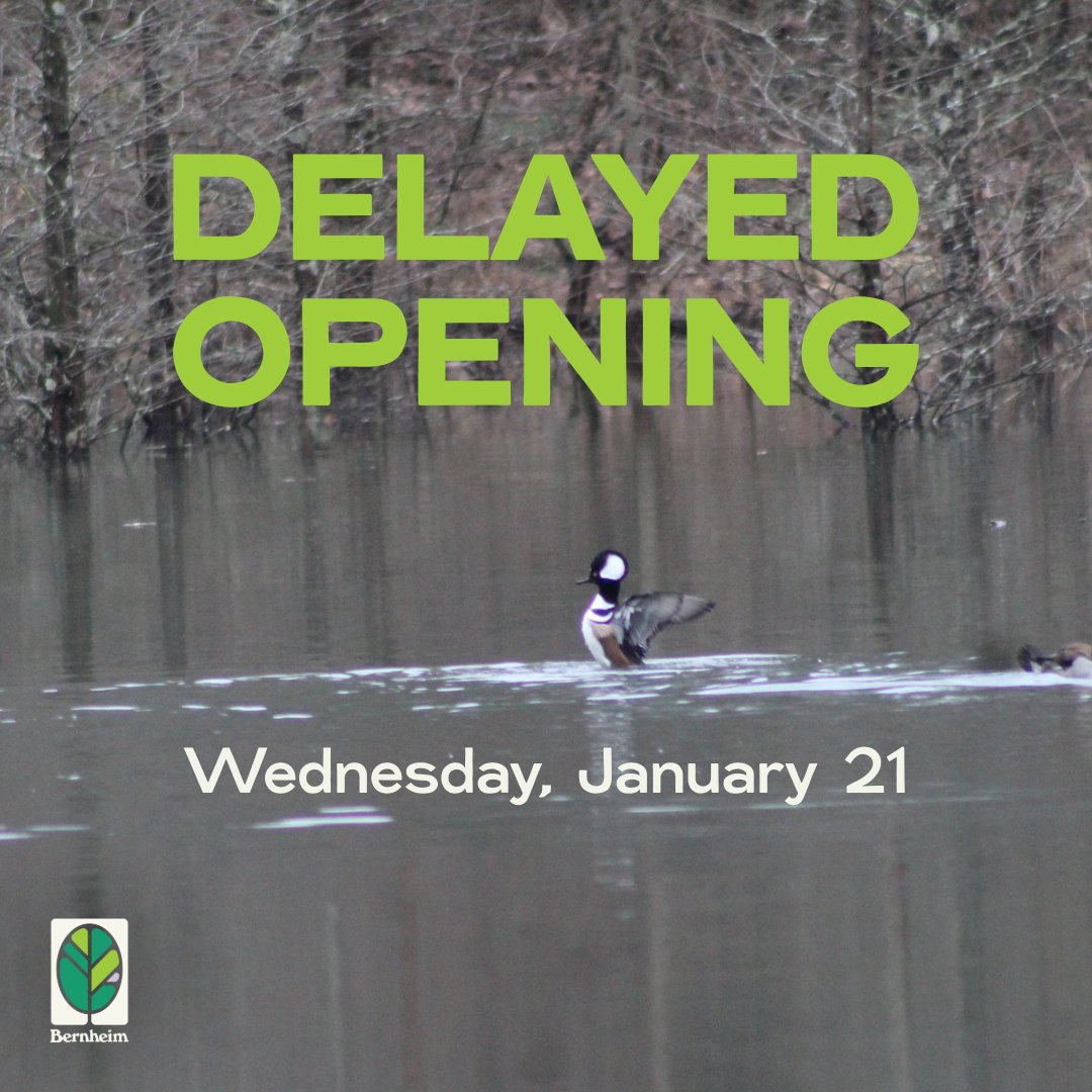 Bernheim Forest tweet media