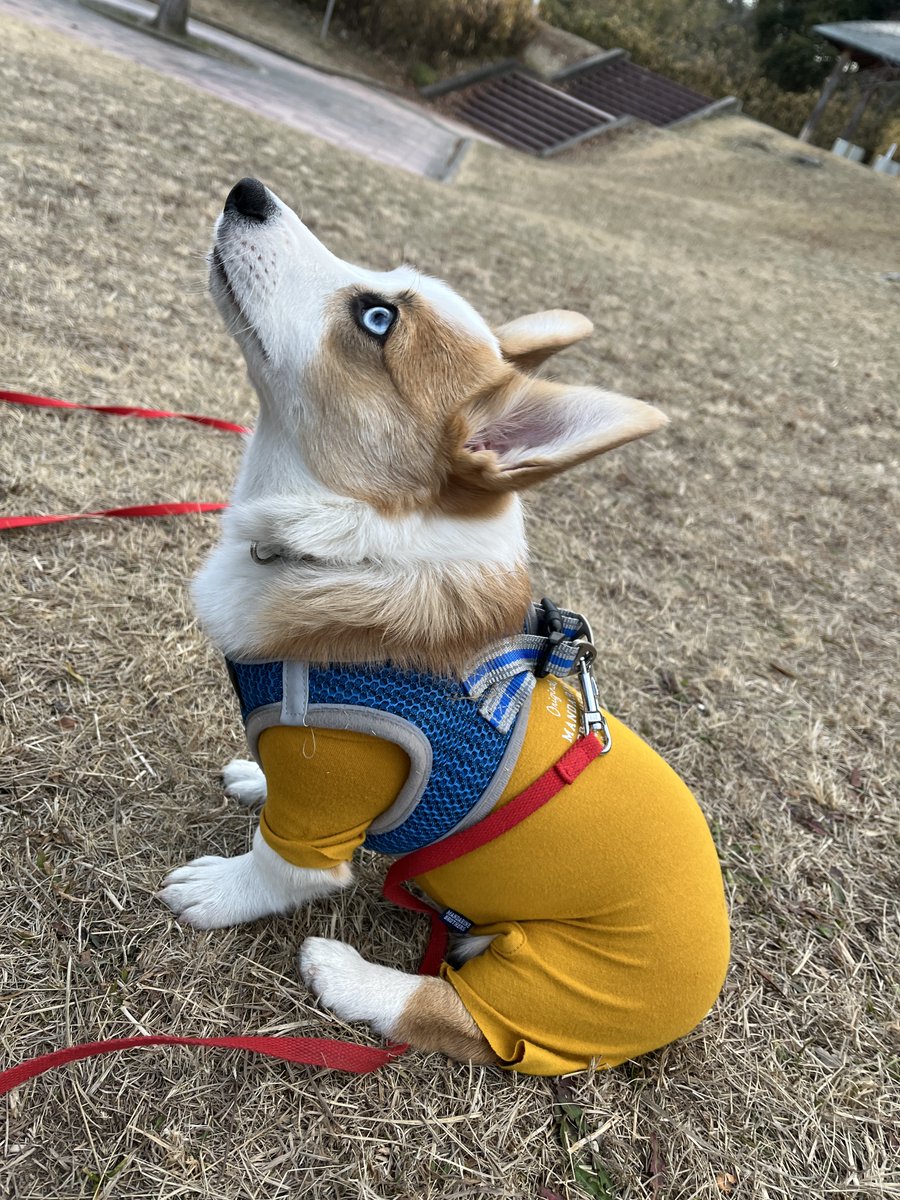 luuke0909's tweet image. 大丈夫着てますよってやつだ