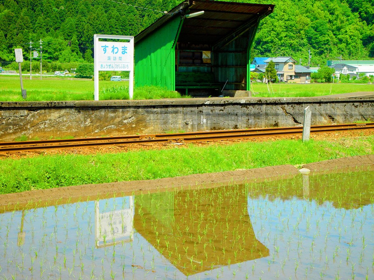 ブーちゃん (@gj5lSm7sYCsZlZP) / Posts / X