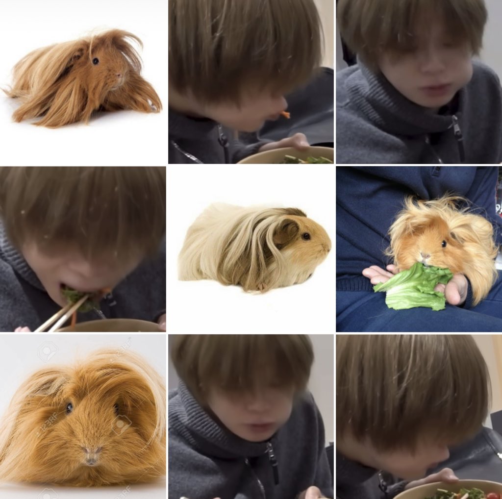 コ (@yudaisukinok) on Twitter photo 