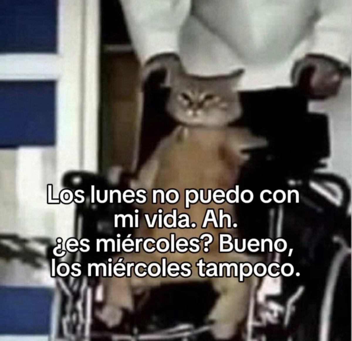 Ayno.