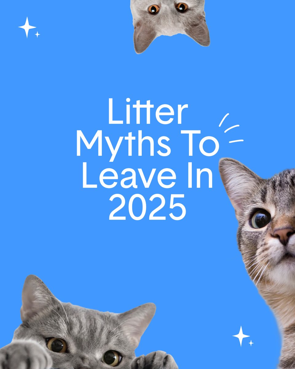 HelloBoxiecat's tweet image. Let’s retire these litter myths in 2025 ✨