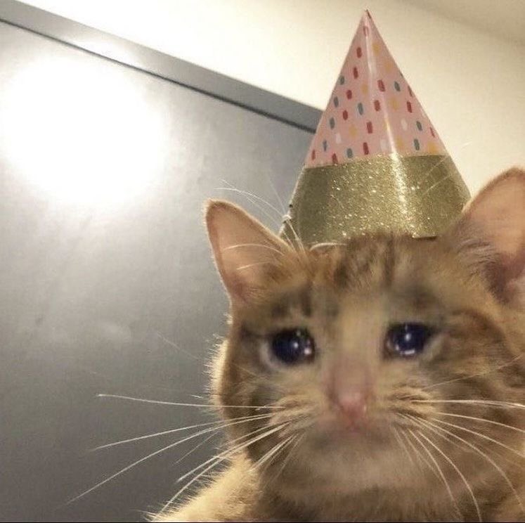 생일인데
아침부터 일하다가 지금 집간다..
아 어른이 되는거 너무 슬퍼..
엄마가 끓여준 미역국 먹고싶어요..