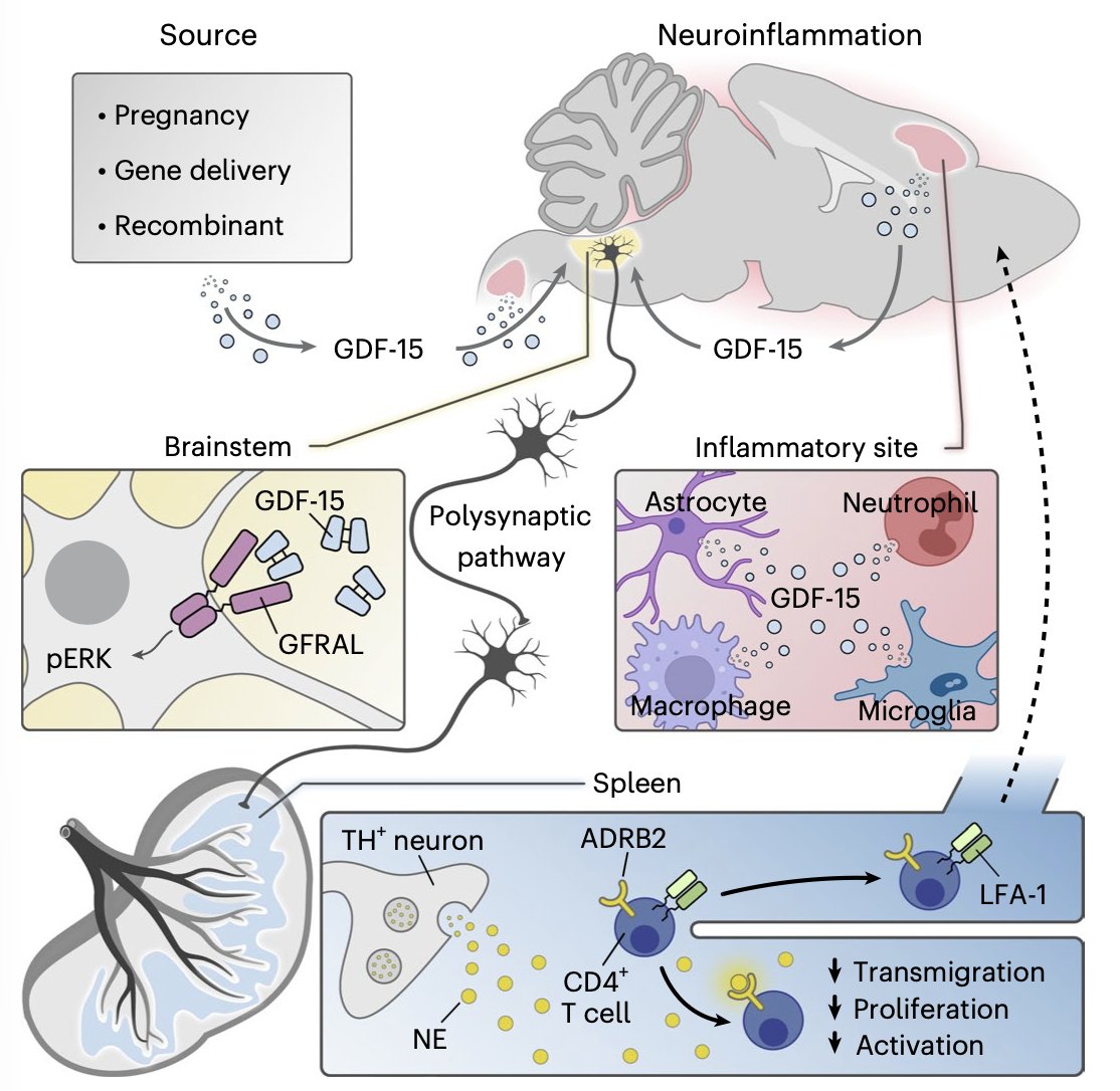Martin Picard tweet media