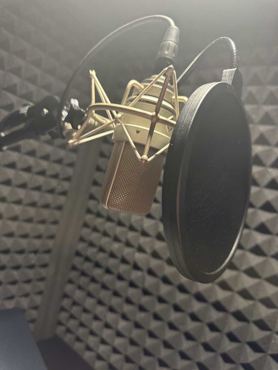 Ryan Webster | VA🎙️ tweet media