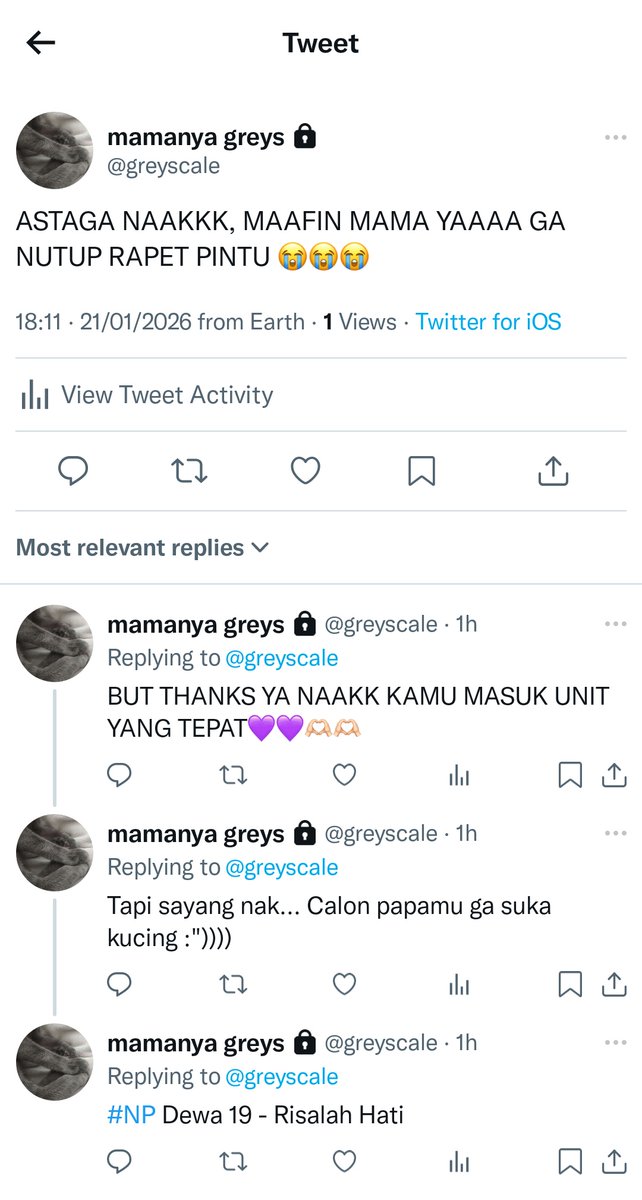 *hqhalu contain m/f pair
Kageyama tobio x fem!reader

Kucing ilang bawa berkah ➡️ Jodoh next door? Apa iyyaah???