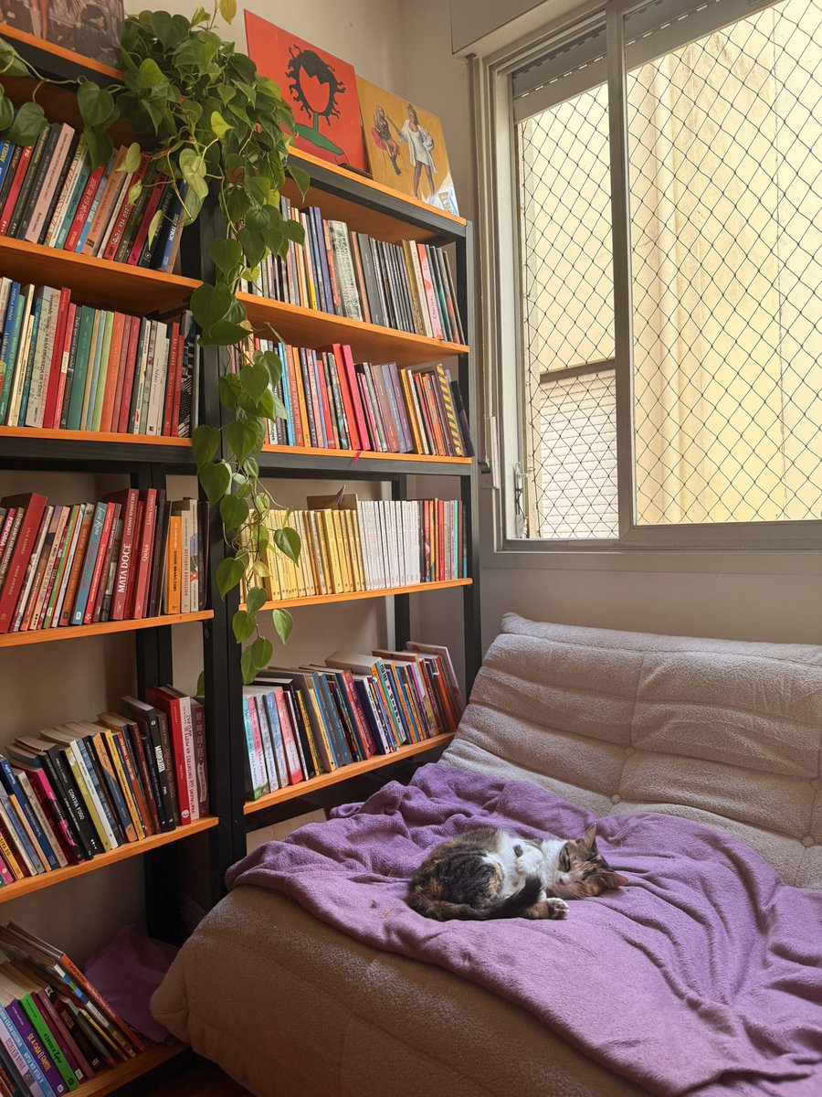 leituramista's tweet image. Nina deitada no seu cantinho da soneca