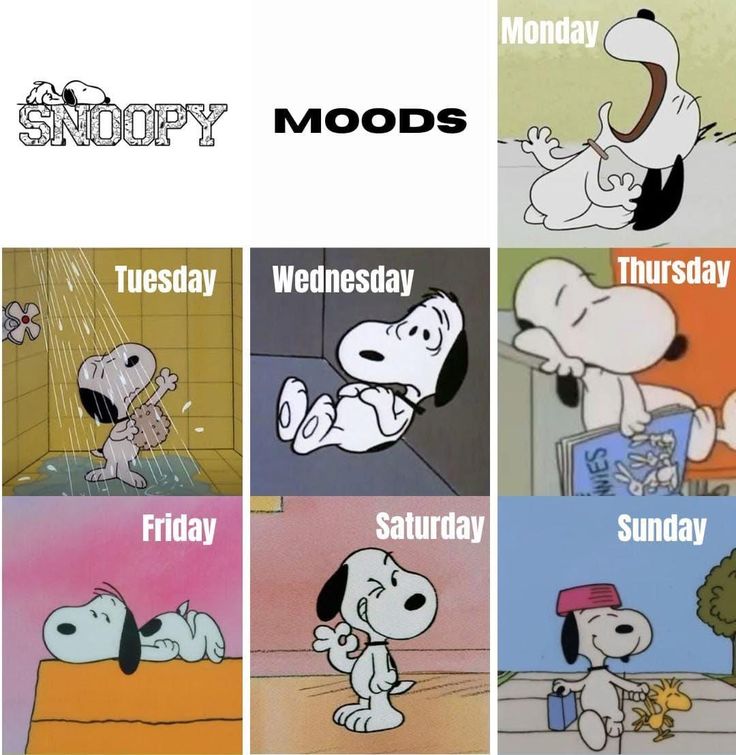 Snoopyloveronly's tweet image. 