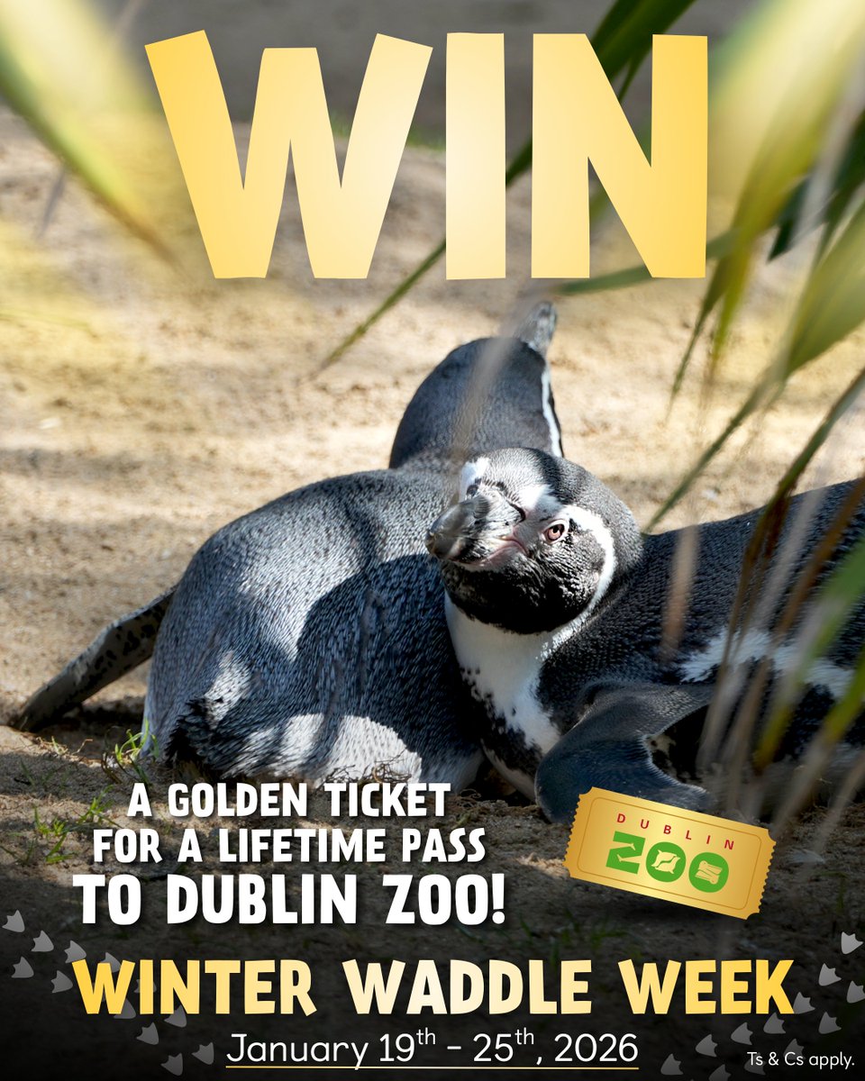 Dublin Zoo tweet media