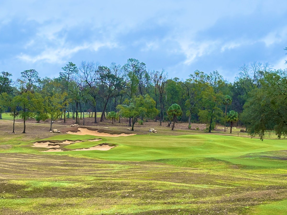 Top100Rick's tweet photo. Cabot Citrus - The Roost
2025
Mike Nuzzo, Rod Whitman, 
Kyle Franz, Ran Morrissett

Public Resort: $400 Peak

Cabot took over the old World Woods 36 hole golf facility and did one of the most extreme facelifts in golf course history. 

The old Rolling Oaks course has been completely transformed. Trees were cleared and ground was bulldozed to create a unique, Heathland inspired course that shows off the lands many natural features. You would never imagine a traditional parkland course once stood here. 

The team of architects did an amazing job of creating a fabulous routing that uses the land wonderfully. With 4 minds on the job, you could worry about a disjointed final product. You would never know it was a team design. 

The theme of the course is certainly modern strategic. Wide fairways, options, tons of contour. 

What sets it apart is the land, especially holes 7-17. The land moves extremely well and there are lots of natural features the team used to add the visual memorability golfers love. 
The land movement is big, with big elevation changes. The use of centerline fairway trees I loved, but some will find controversial. 

The use of barrancas and even a sinkhole make for interesting and unique visuals and also adding drama. Probably the only negative, on both courses, are the cottage visuals. Financially necessary, surely, but not  a great backdrop for such wonderful golf. 

The Roost is pure fun and an excellent golf design. Highly recommend!