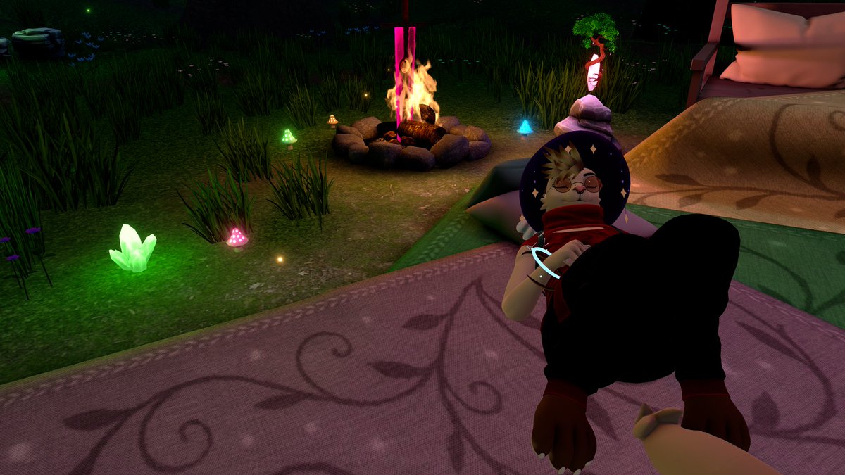 SnoozieCat tweet media