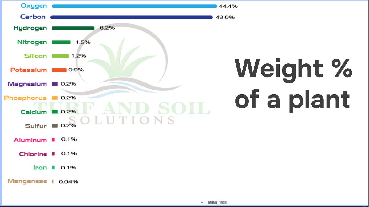 Thread for turf managers🧵:
QUESTION OF THE DAY: in % of dry weight, where does silica rank amongst the other nutrients? Hint: you might be surprised….