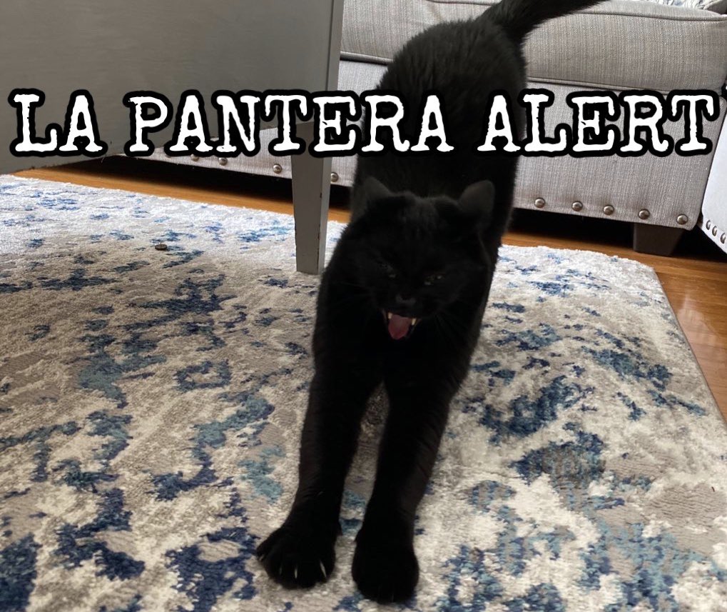 Dickhausen (@savestuesday) on Twitter photo 