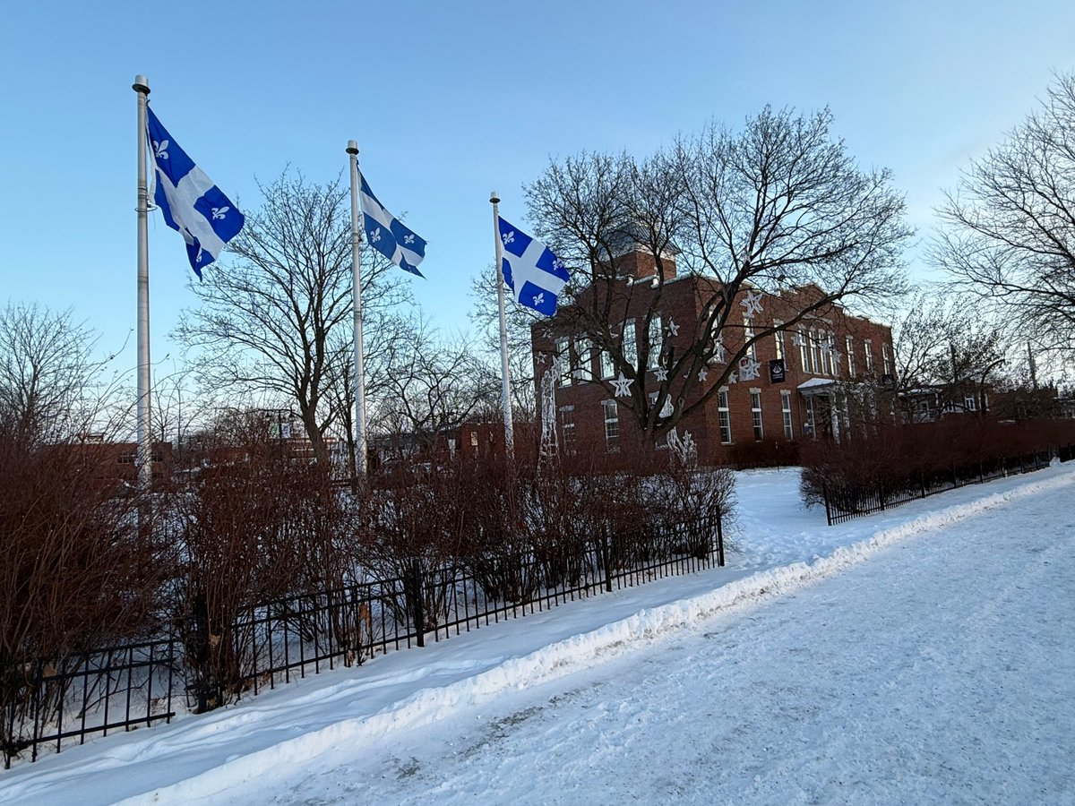 Mathieu Traversy tweet media