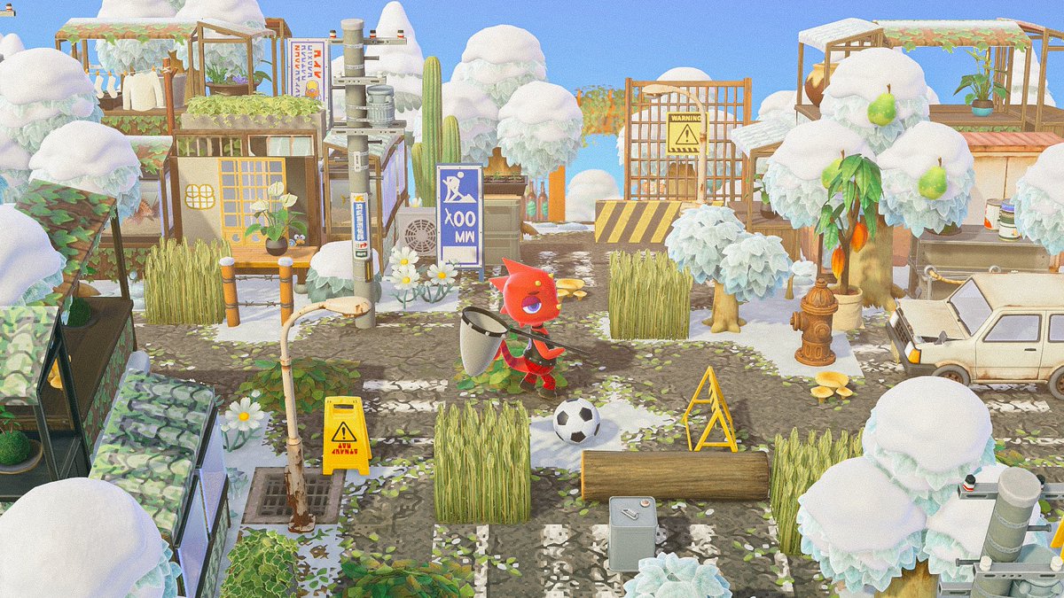 시타 🌱 tweet media