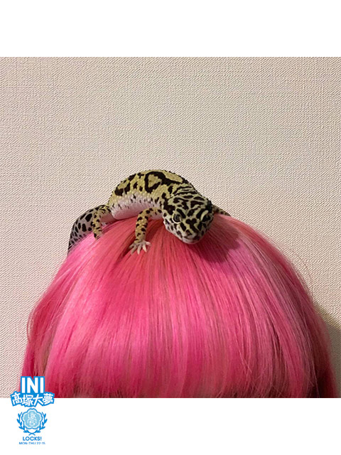 アンジェリーナ1/3 / ailly (@Angelina__gs) / Posts / X