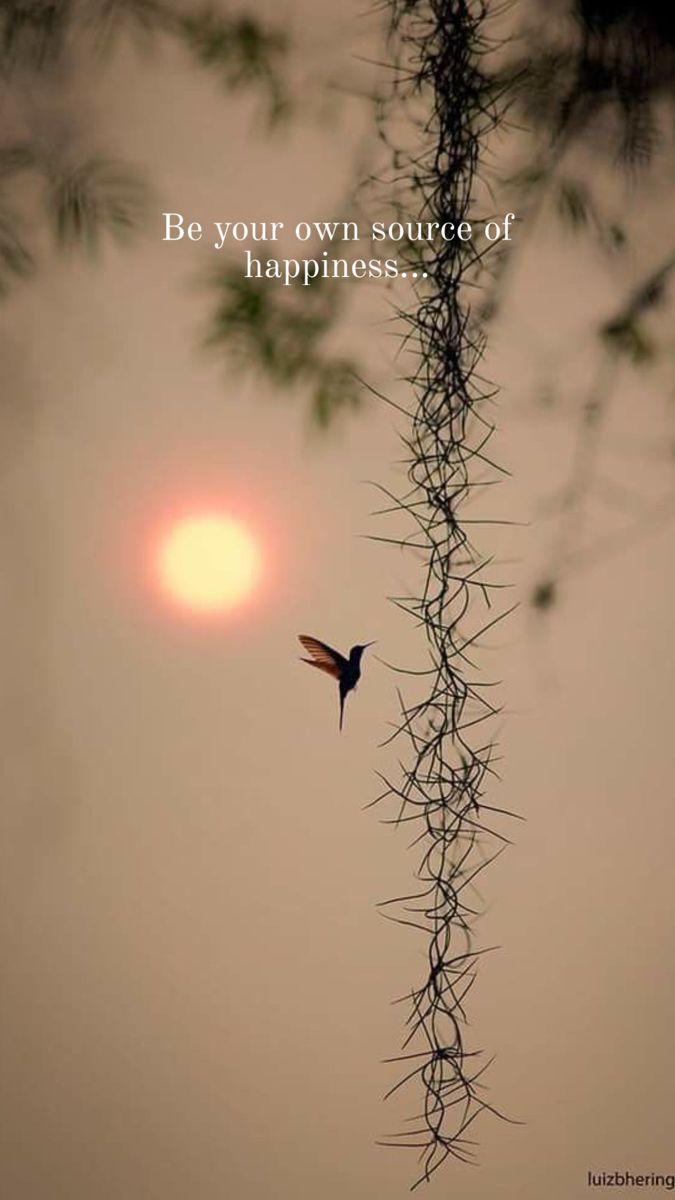 POSITIVITY (@positivitysaid) on Twitter photo 