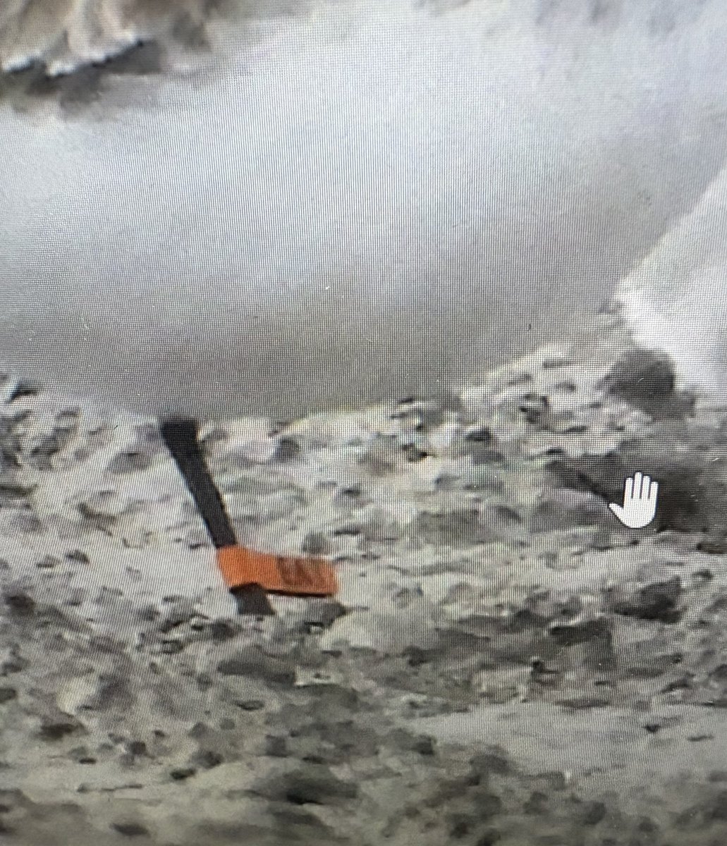 SHOREBIRDS IN JAPAN 日本のシギ・チドリ tweet media