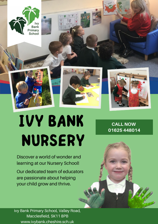 Ivy Bank Primary tweet media
