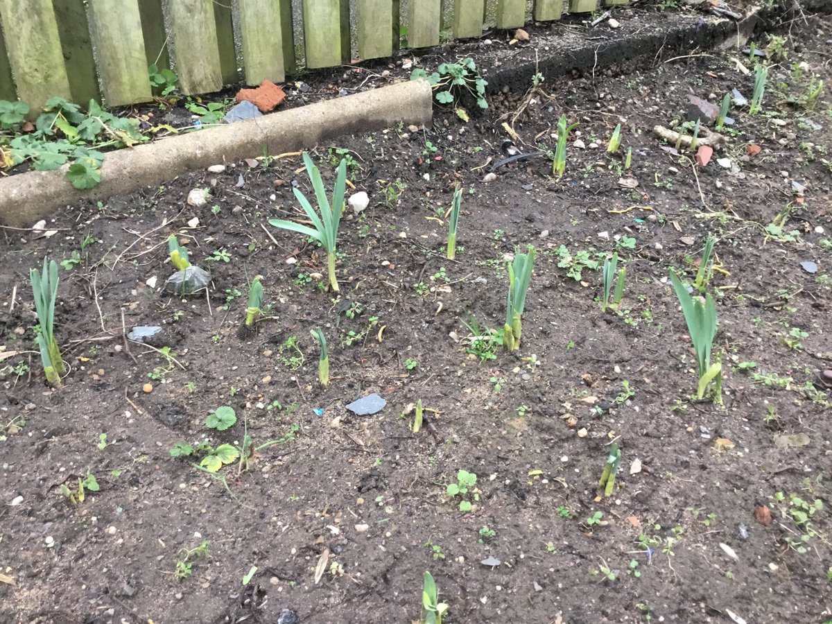 Kings Norton Primary tweet media