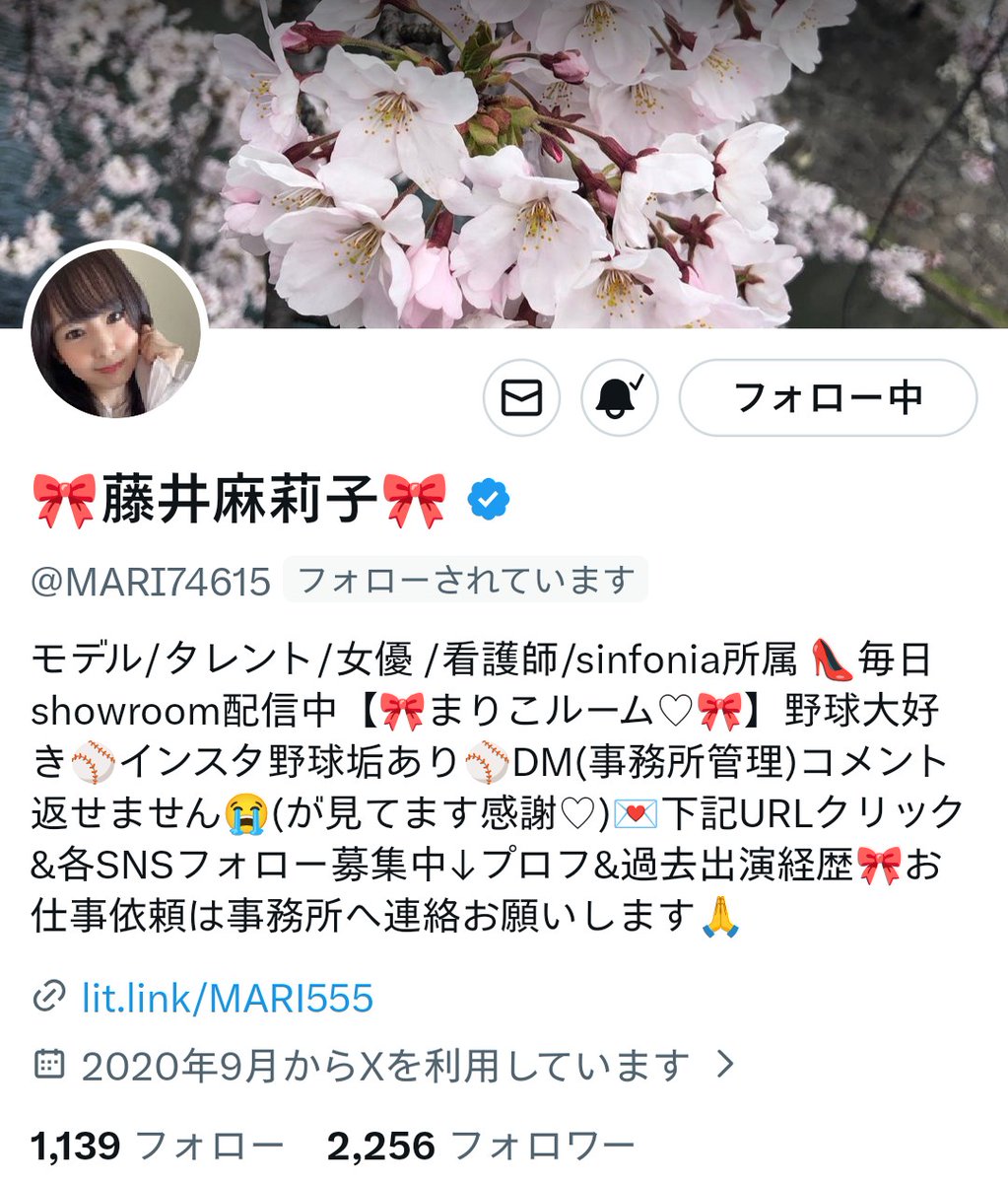 ぬーさん 🐶😺🐾公式 tweet media