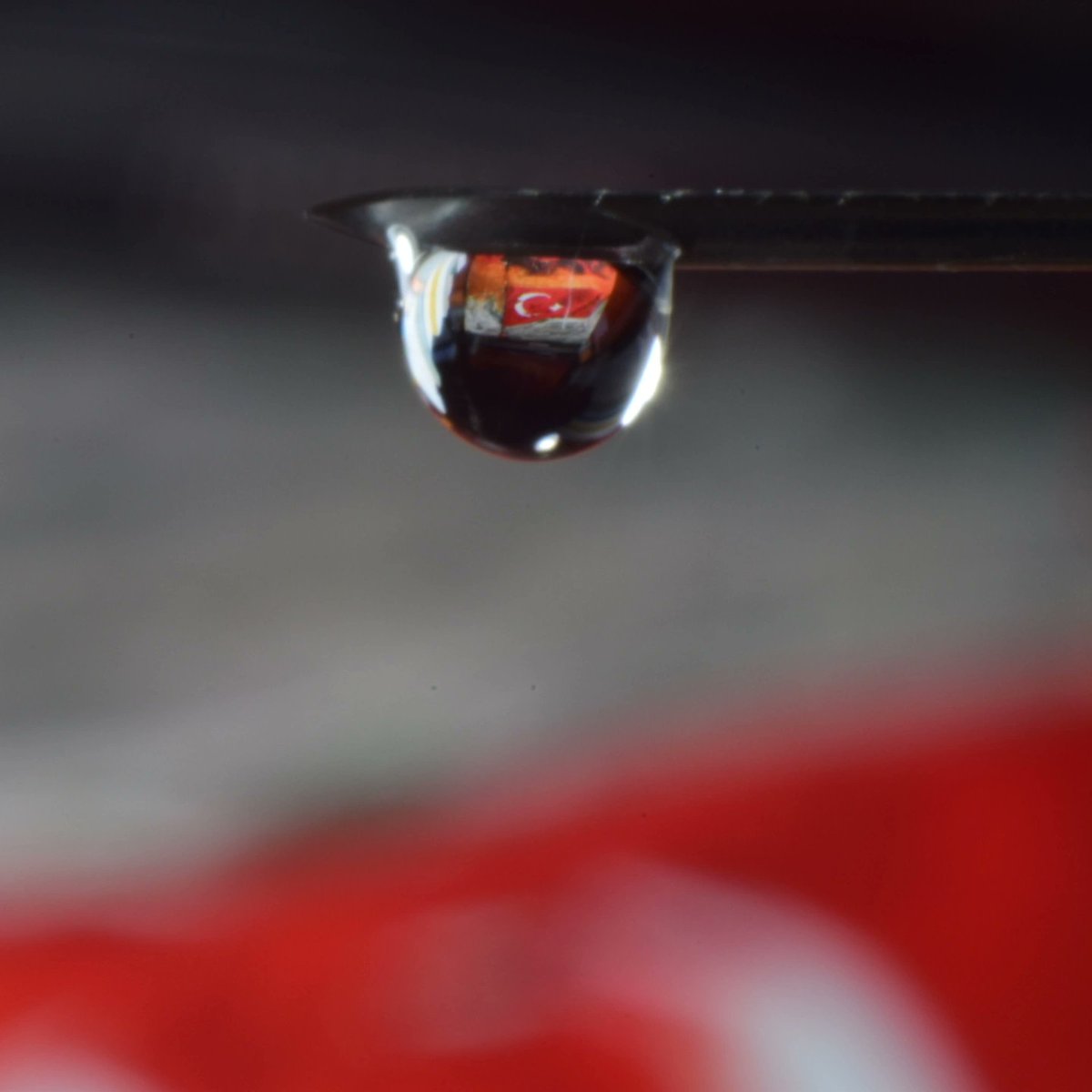 Vatanın her damlasında her karışında al bayrağım