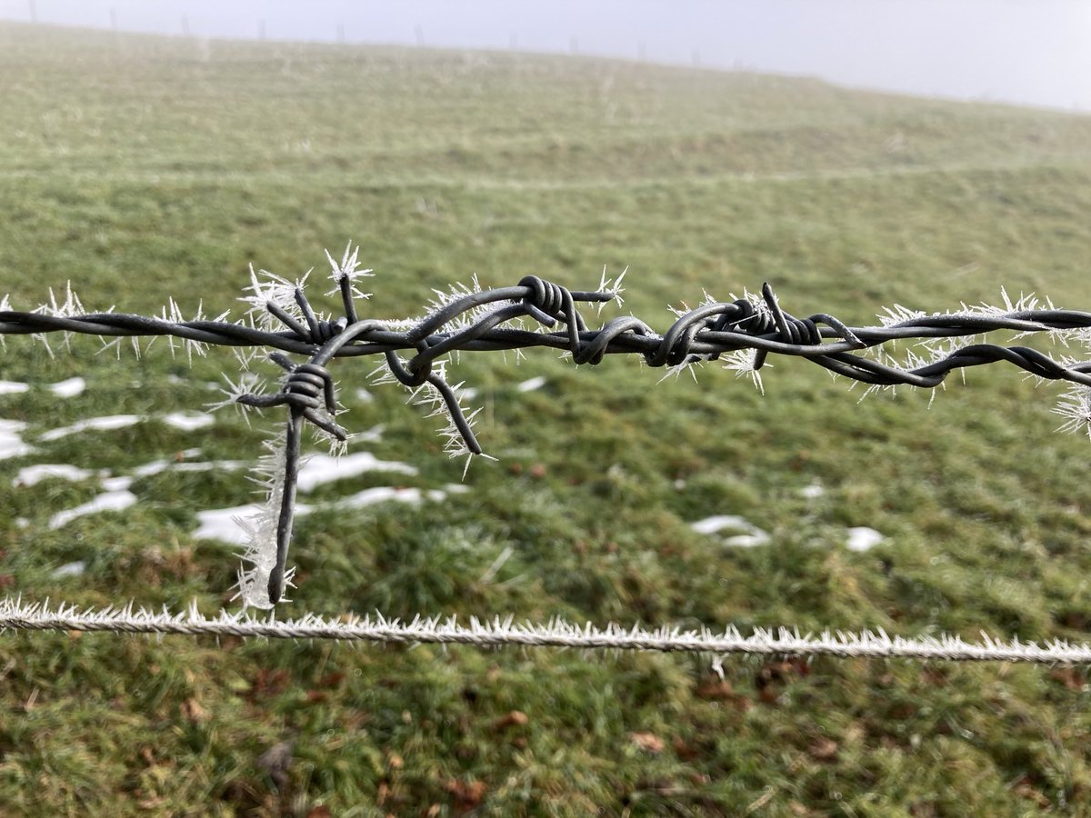 Eiserne und eisige Stacheln.