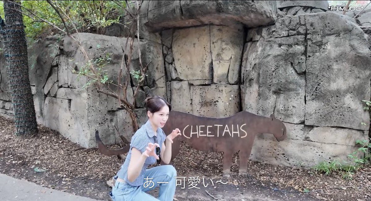 やっぱチェウォンはアギチーターでした🐯
こんな子いたら毎日動物園通うよ！？