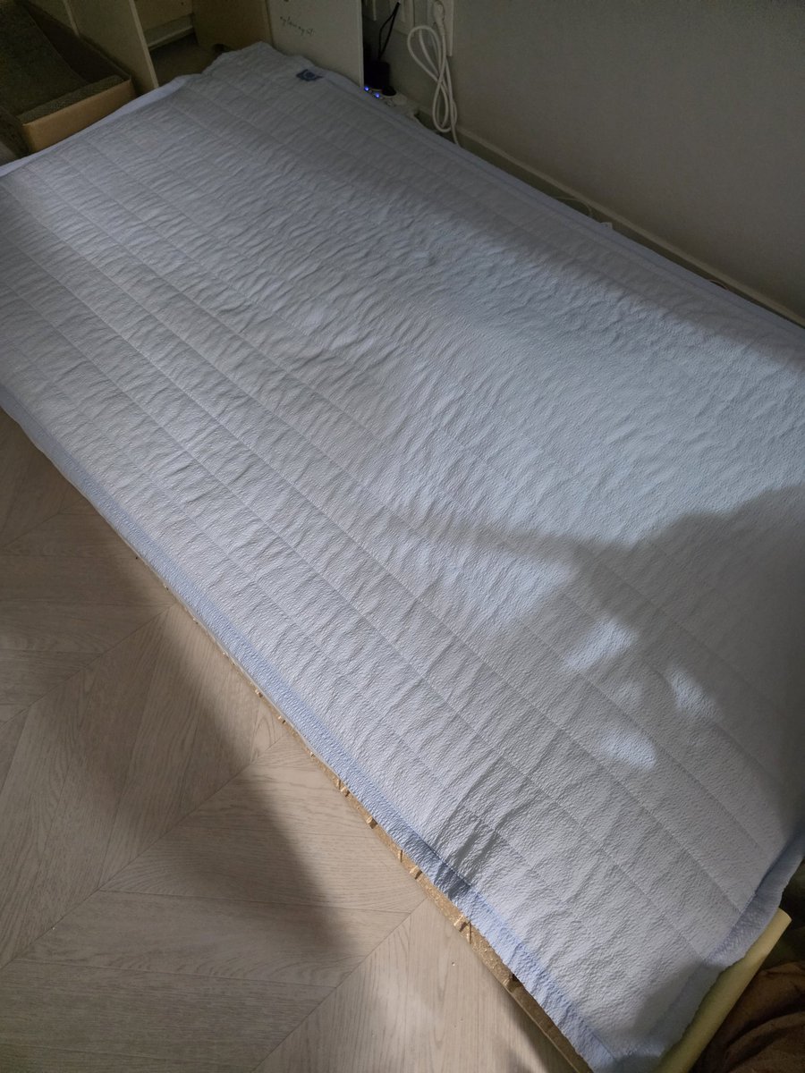 안냐세오 벨라에오. 임보이모가 숨을 곳을 다 없애버려찌만 나는 굴하지 않는 멋진 고양이니까 딱 맞는 아늑한 곳을 찾아냈어오. 어때요 나 옴총 똑똑하죠?
#보광동벨라 #가족찾는벨라