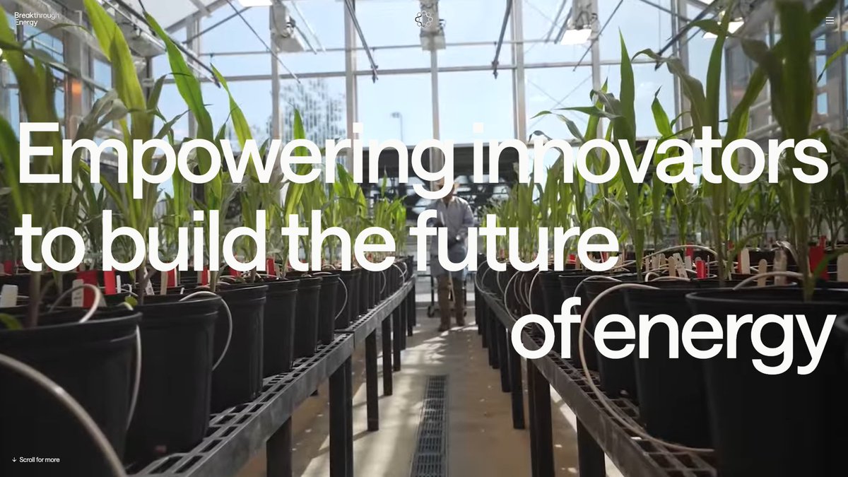 48 Gallery tweet media