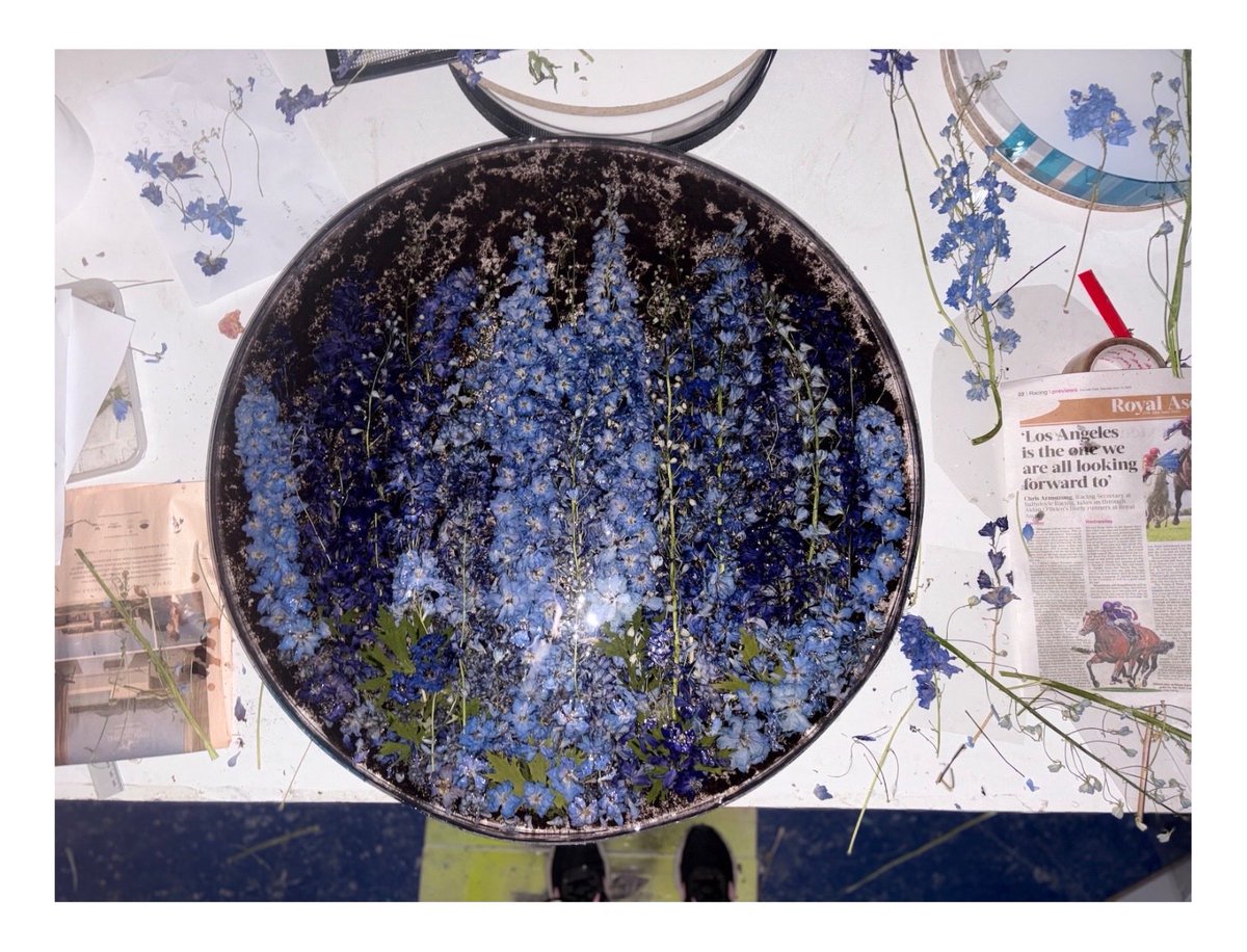 OliverSearsGallery tweet media