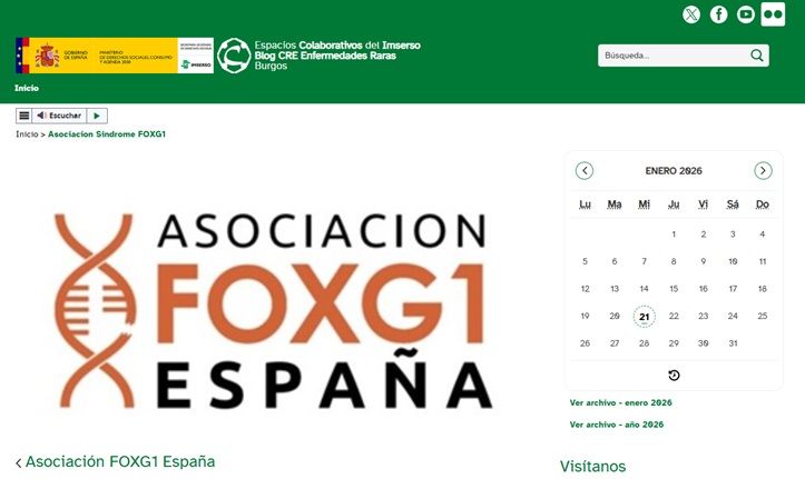 CentroCREER's tweet photo. 📌 Nueva entrada en #BlogCREER @Imserso:
Presentación de la Asociación FOXG1 España
#foxg1 #foxg1syndrome #curefoxg1 @Foxg1Research #enfermedadesraras
👉 https://t.co/MkGHoshjna https://t.co/ylTtqZiMBb
