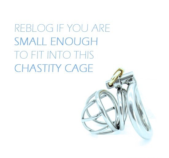 FemDomish Guide💋 (@bestfemdomtxt) on Twitter photo 