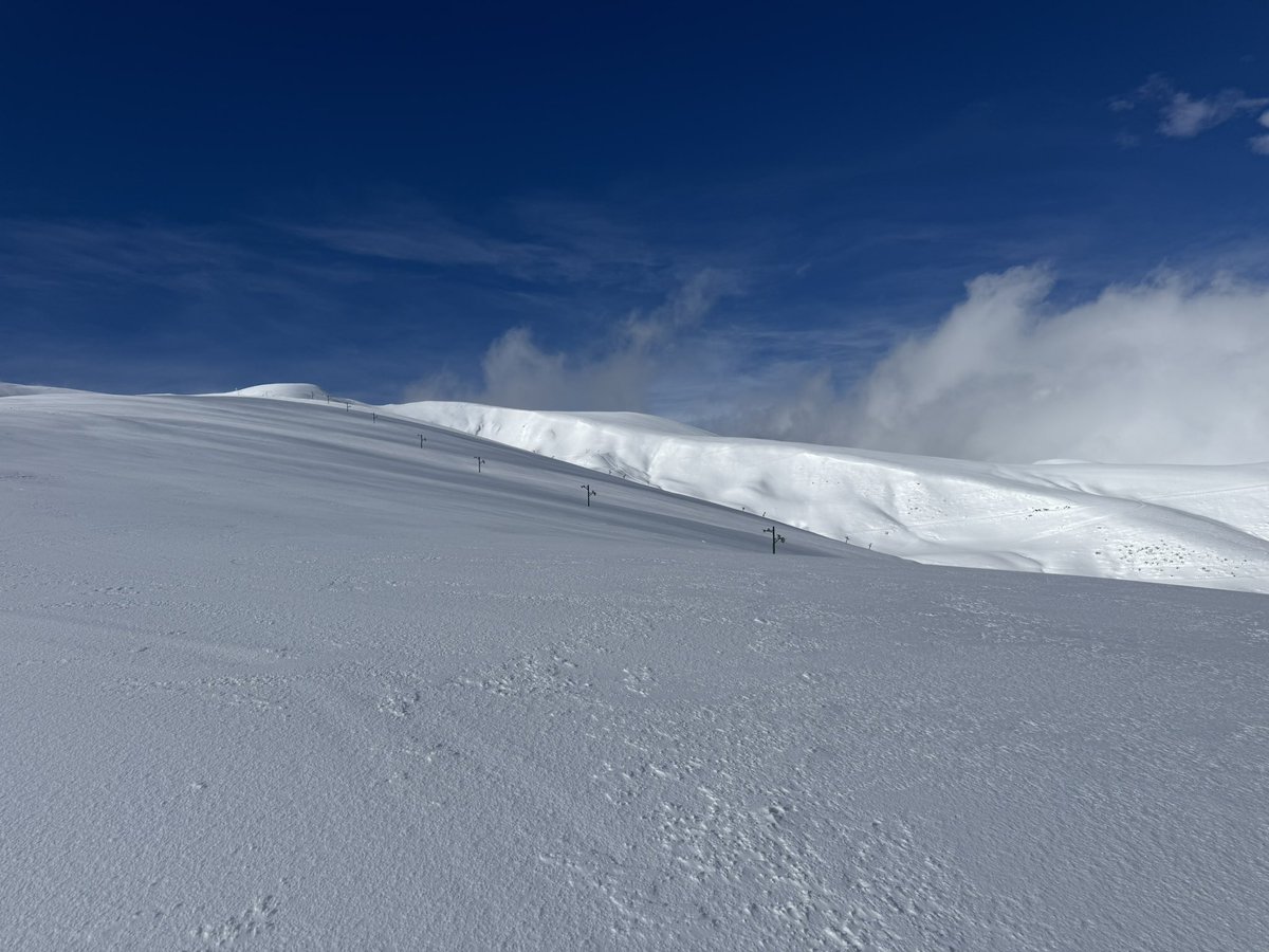 Lo Xic de Feliciano ⭑X tweet media