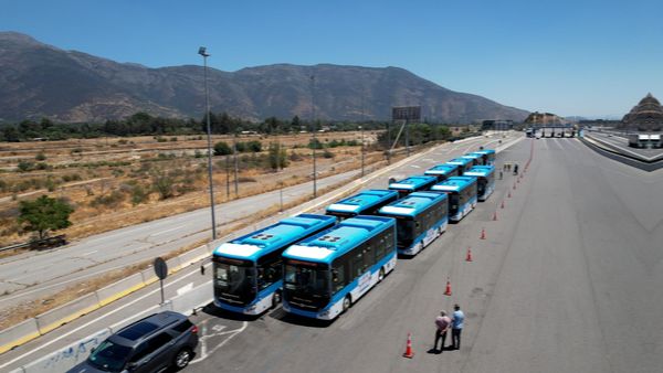 ¿En qué #recorridos circularán estos nuevos #buses eléctricos que se recibieron en #Rancagua? transohiggins.com/en-rancagua-re…

<a href="/ger_arenasz/">CORE Germán Arenas</a> <a href="/uohiggins/">Universidad de O'Higgins</a> <a href="/GORE_OHiggins/">Gobierno Regional de O'Higgins</a> <a href="/elrenguino/">El Renguino</a> <a href="/RengoPublicidad/">Rengo Publicidad</a> <a href="/Marcemomo/">MarcelaRiquelmeAliaga - Diputada Distrito 15</a> <a href="/HacemosR/">HACEMOS RADIO</a> <a href="/DPROhiggins/">Delegación Presidencial Regional de O'Higgins</a> <a href="/Culturas_OH/">Culturas_OH</a> <a href="/jacavier/">José Antonio Cavieres More</a>